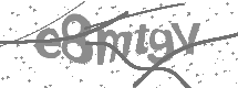 visual captcha